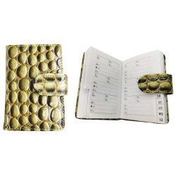 TELEPHONE BOOK CLASS NOTES IN GREEN CASE